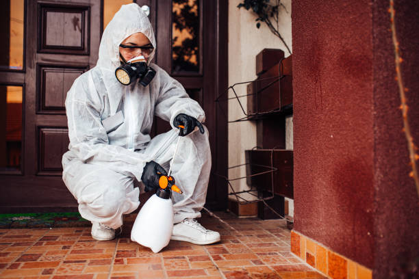 Reliable Wasp Removal contractor in Citrus Heights, CA by Show Me Pest Control